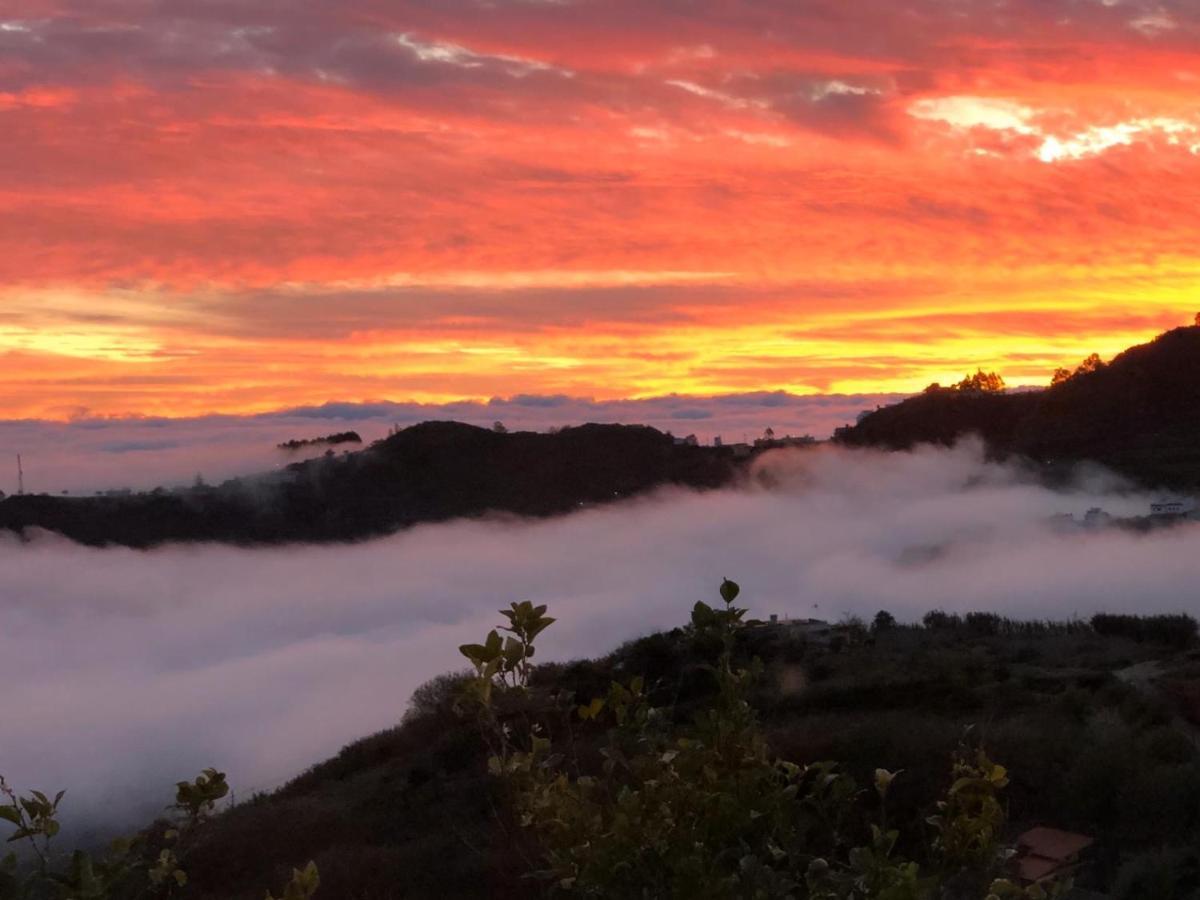 Casa Rural Con Bonitas Vistas Teror Εξωτερικό φωτογραφία